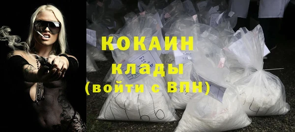 индика Бронницы