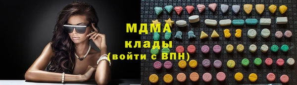прущие грибы Верея