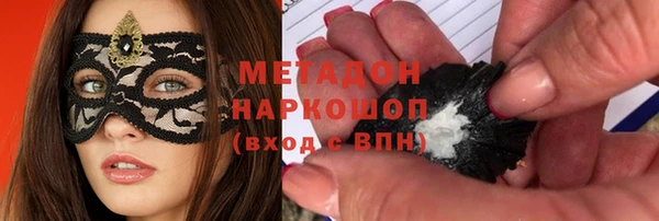 индика Бронницы