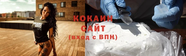 прущие грибы Верея