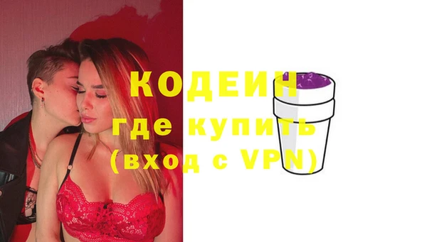 прущие грибы Верея