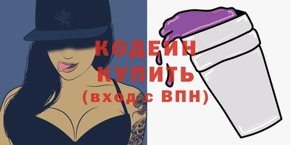 индика Бронницы