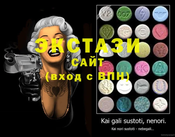 прущие грибы Верея