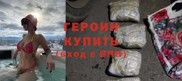 индика Бронницы