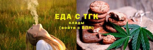 индика Бронницы