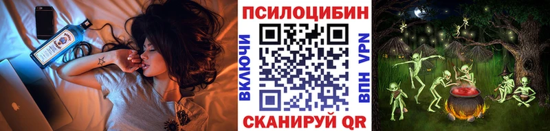 Псилоцибиновые грибы Psilocybe  мега сайт  Касимов 